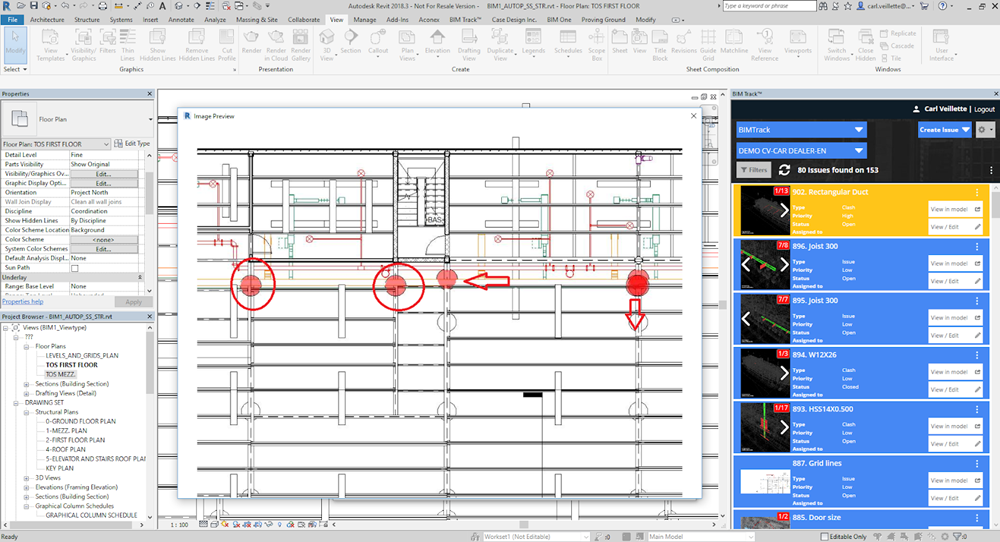Annotation in Revit with BIM Track